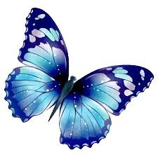Image posted by the member