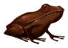 Image posted by the member
