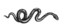 Image posted by the member