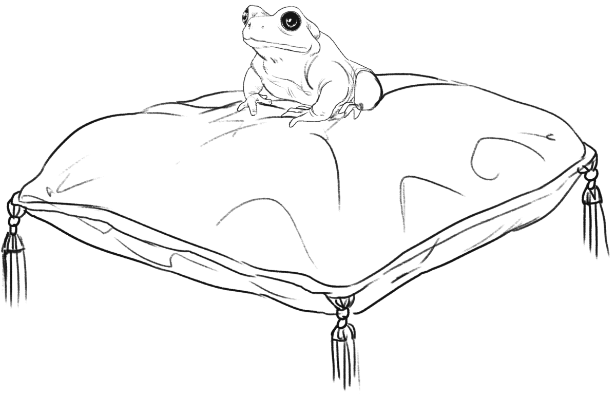 Image posted by the member