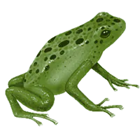 Image posted by the member