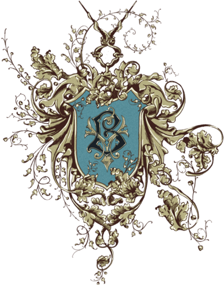 Image posted by the member