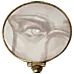 Image posted by the member
