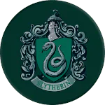 Image posted by the member