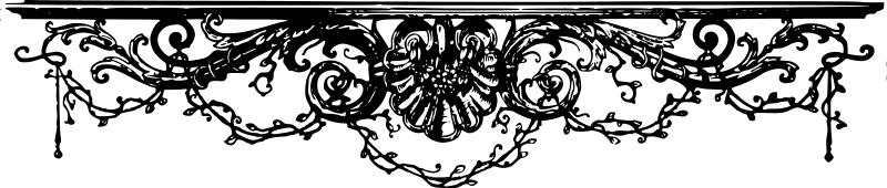 Image posted by the member