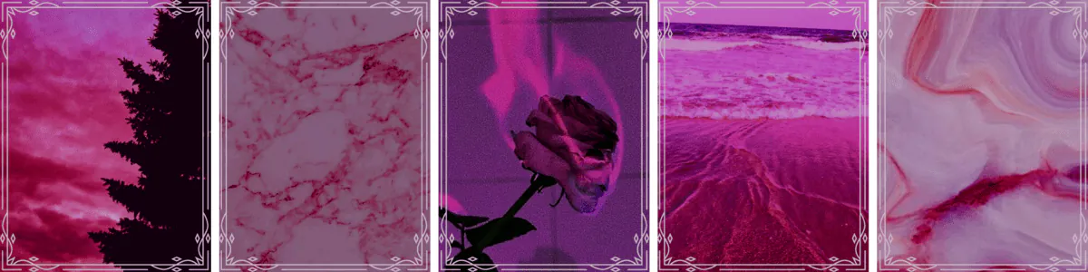 Image posted by the member
