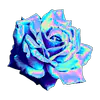 Image posted by the member