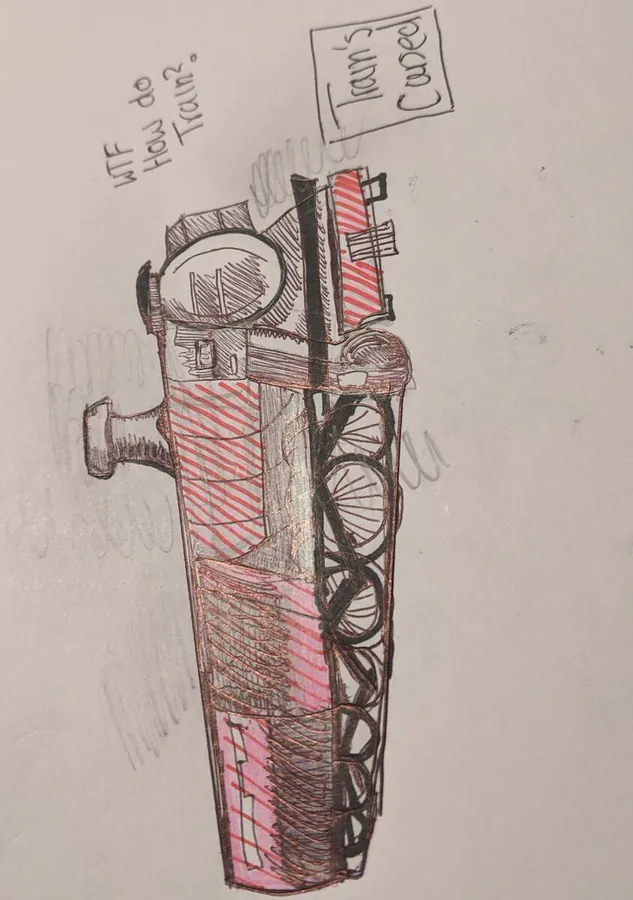 Image posted by the member