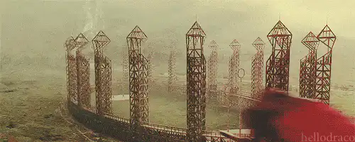 Image posted by the member
