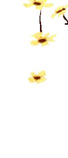 Image posted by the member
