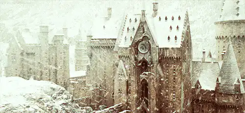 Image posted by the member