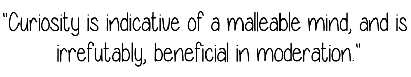 Image posted by the member