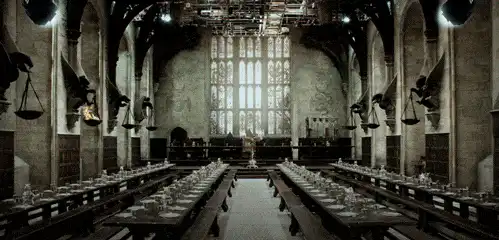 Image posted by the member
