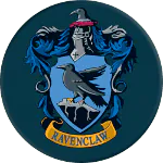 Image posted by the member
