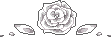Image posted by the member
