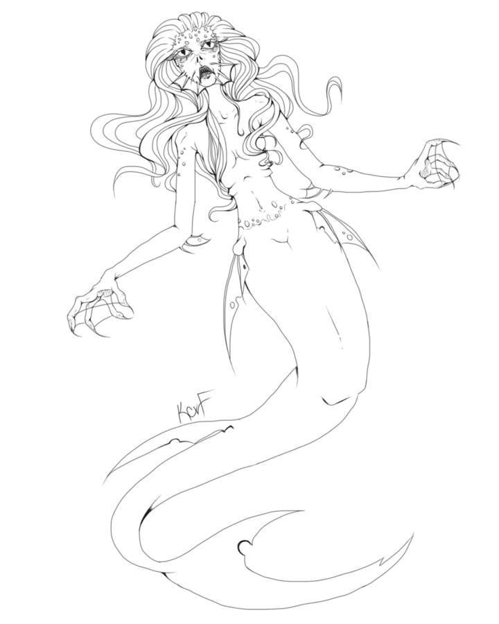 Image posted by the member