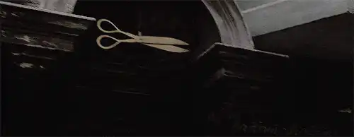 Image posted by the member