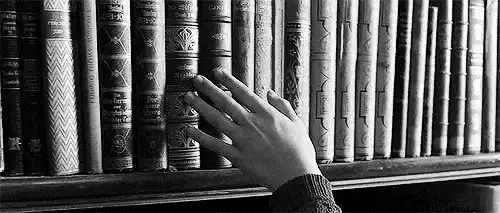 Image posted by the member