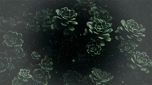 Image posted by the member