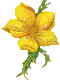 Image posted by the member
