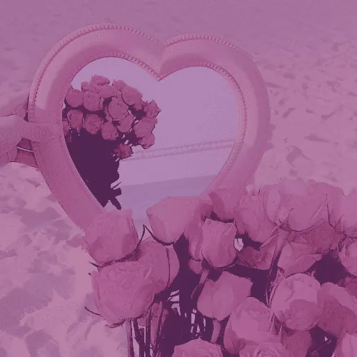 Image posted by the member
