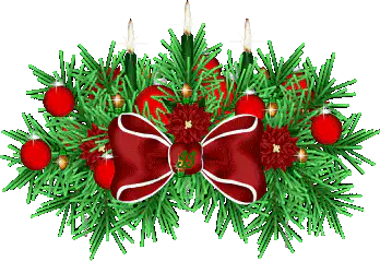 Image posted by the member