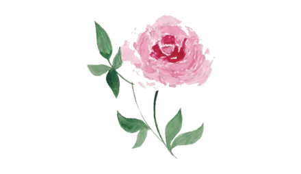 Image posted by the member