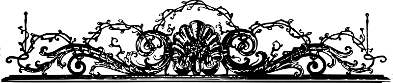 Image posted by the member