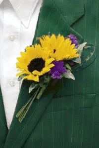 Image posted by the member