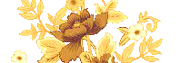 Image posted by the member