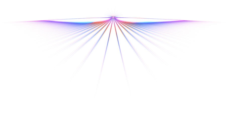 Image posted by the member