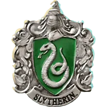 Image posted by the member