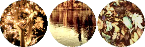 Image posted by the member