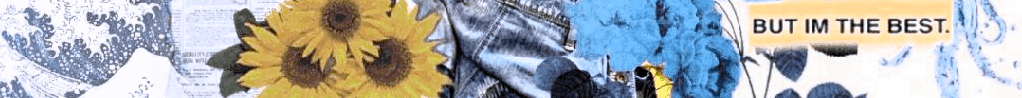 Image posted by the member