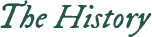 Image posted by the member