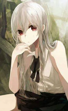 Image posted by the member