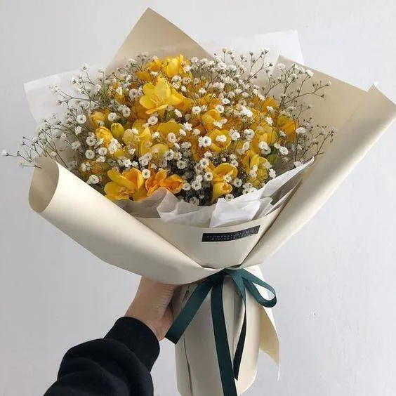 Image posted by the member