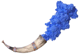 Image posted by the member