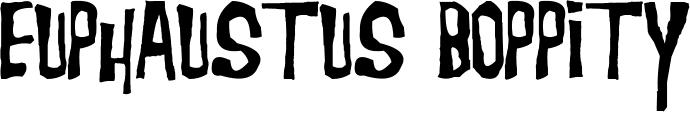 Image posted by the member