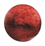 Image posted by the member