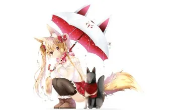 Image posted by the member