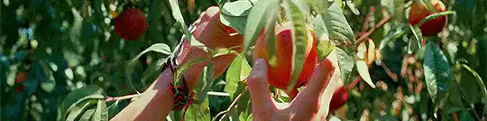 Image posted by the member
