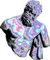 Image posted by the member