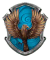 Image posted by the member
