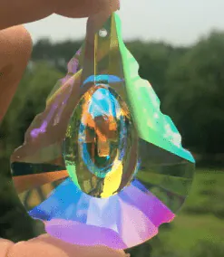 Image posted by the member