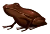 Image posted by the member
