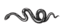 Image posted by the member