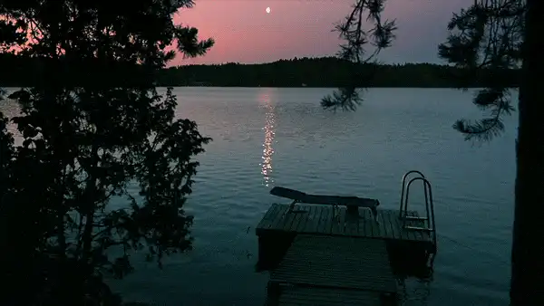 Image posted by the member