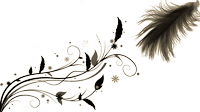 Image posted by the member