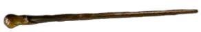 Image posted by the member